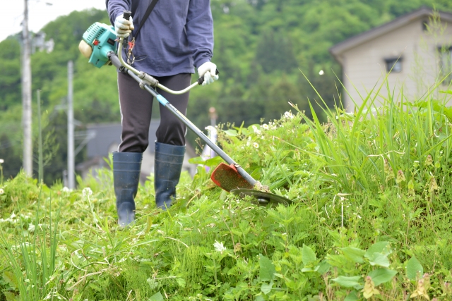 東牟婁郡串本町で草刈りに最適な年3回の時期～楽に草刈りを終えるコツまで徹底解説