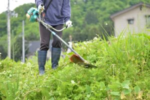 和歌山市で草刈りに最適な年3回の時期～楽に草刈りを終えるコツまで徹底解説