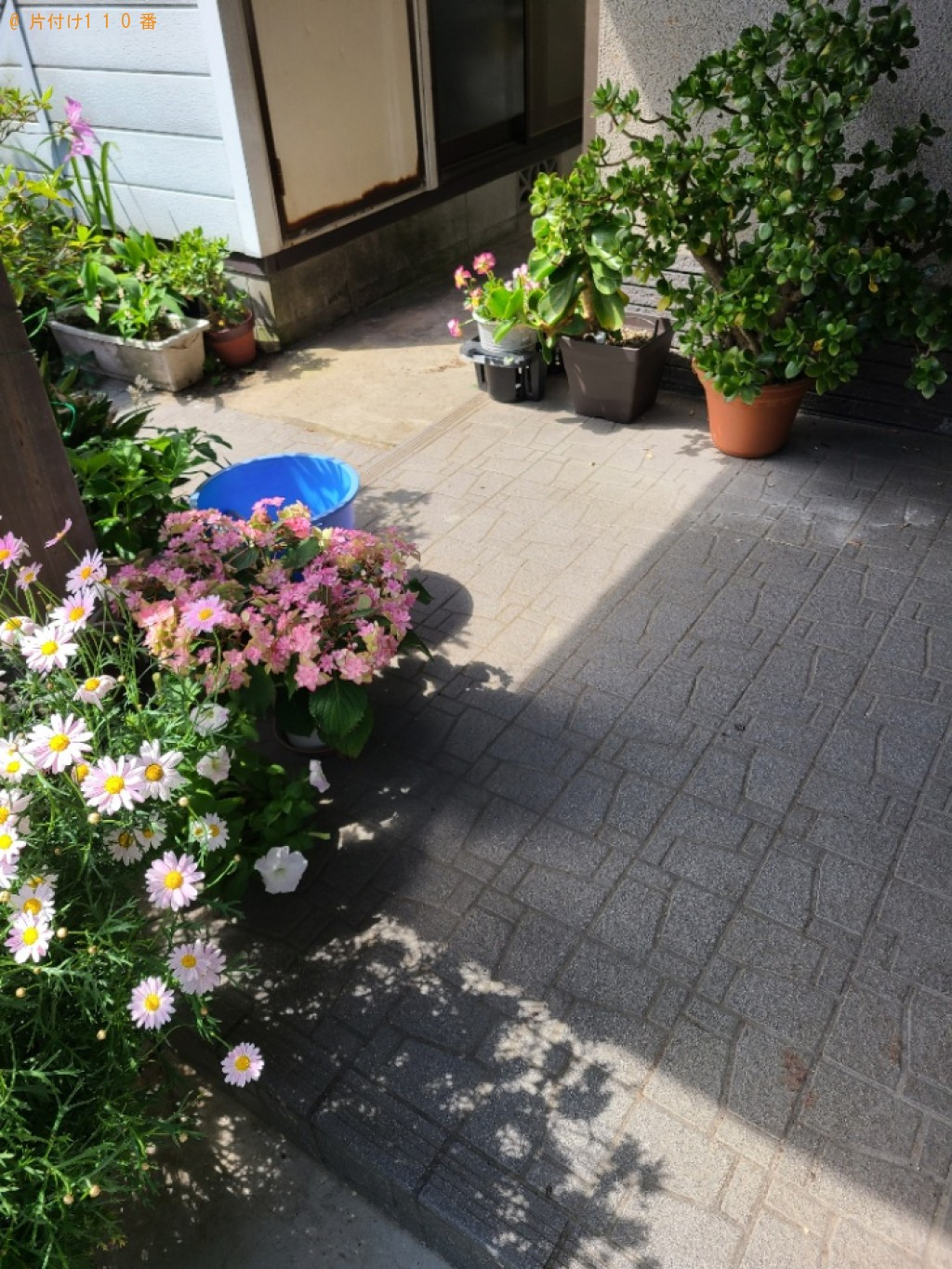 マットレス付きシングルベッドの回収・処分ご依頼　お客様の声